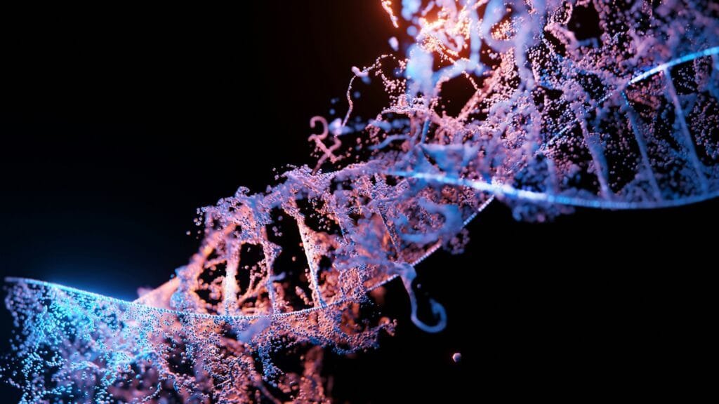 human genome