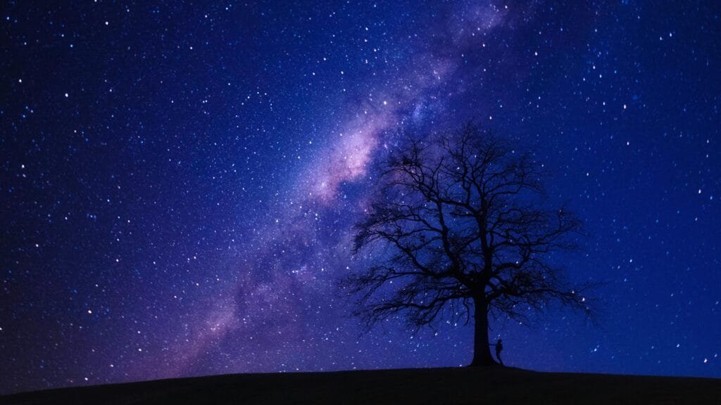 star constellations